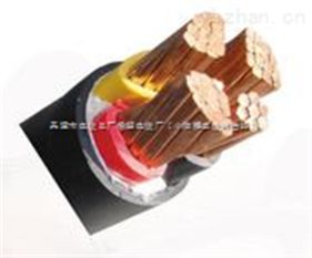 電氣設(shè)備與供電需求升級 ZR VV電纜2×10、2×16成市場關(guān)注焦點
