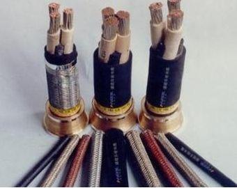 安順船用電纜與電氣電纜 技術(shù)特性與選型指南